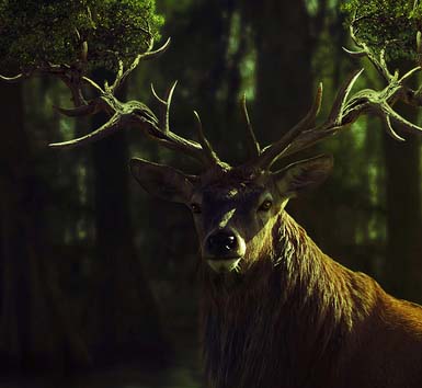 ip攻击器网页版ddos